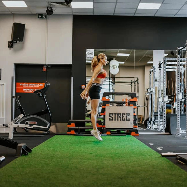 SZTUCZNA TRAWA - SLED TURF